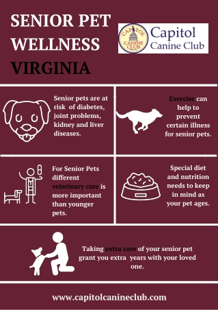 Senior Pet Wellness Virginia