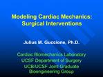 Modeling Cardiac Mechanics: Surgical Interventions