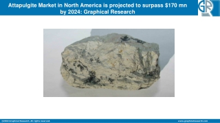 North America Attapulgite Market Growth Evolution, Trends Innovation to 2024