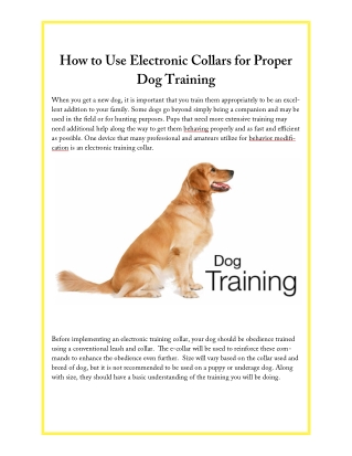 How to Use Electronic Collars for Proper Dog Training