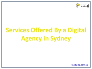 Services Offered By a Digital Agency in Sydney