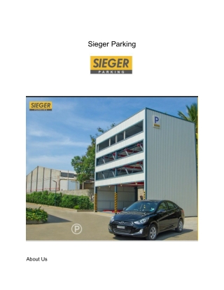 Pit Puzzle Parking System Manufacturers