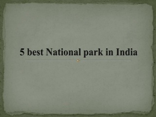 5 Best National Park In India