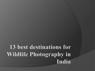 13 best destination for wildlife photography in india