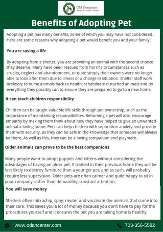 Various Benefits Of Adopting Pet