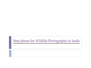 Best Places for wildlife photography in India
