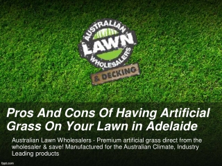Pros And Cons Of Having Artificial Grass On Your Lawn in Adelaide