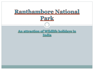 Ranthambore National Park - An Attraction of wildlife holidays in India