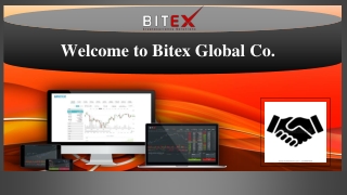 Best Payment Solution | Bitex Global Co.