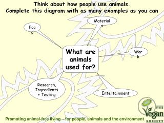 What are animals used for?