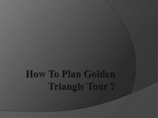 How to plan golden triangle tour