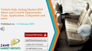 Vehicle Side Airbag Market 2019 Share and Growth Opportunity: Type, Application, Companies and more