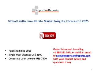 Lanthanum Nitrate Market Industry Analysis on Top Key Players, Revenue Growth and Business Development Forecast 2025