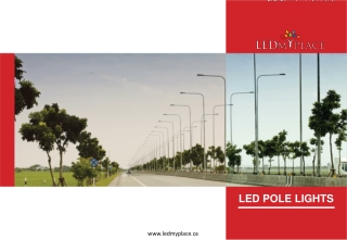 LED Pole Lights, The Best Lighting Solution For Commercial Areas. Why?