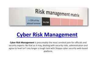 Cyber Risk Management