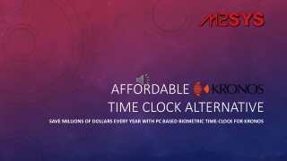 Affordable Kronos Time Clock Alternative