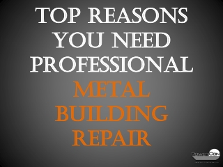 Top Reasons You Need Professional Metal Building Repair