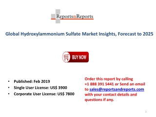 Global Hydroxylammonium Sulfate Market Analysis by Professional Reviews and Opinions 2025