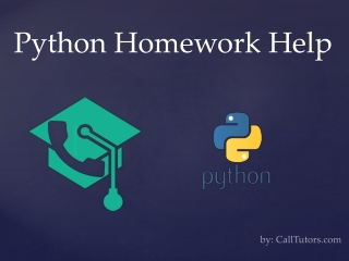 Python Homework Help