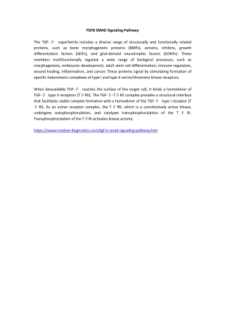 TGFB SMAD Signaling Pathway