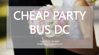 4 Great Ways to Use Save the Date Cards for Wedding Fun with Cheap Party Bus