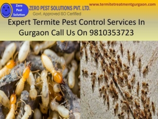 Pest control in Gurgaon | 91-9810353723