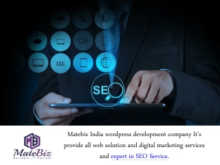 Ethical SEO (Search Engines Optimization) Service - Matebiz India