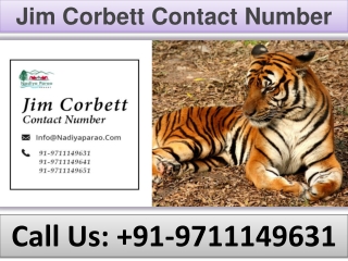 Jim Corbett Contact Number