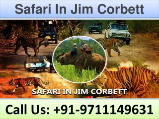 Safari In Jim Corbett