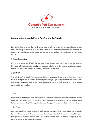 Common commands for Dog