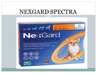 Nexgard Spectra for Dogs