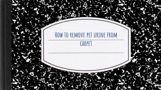 Best Way To Remove Pet Urine From Carpet