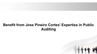 Benefit from Jose Pineiro Cortes’ Expertise in Public Auditing