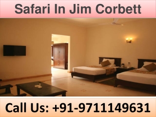 Safari In Jim Corbett