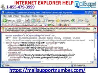 Our Internet Explorer Help phone number is 1-855-479-3999 (toll-free)