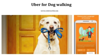 Uber for dog walking app