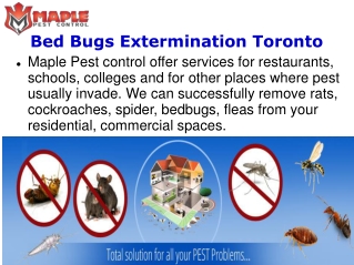 Bed Bugs Extermination Toronto