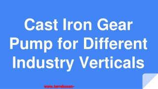 Cast Iron Gear Pump for Different Industry Verticals