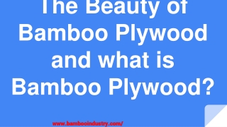 The Beauty of Bamboo Plywood and what is Bamboo Plywood