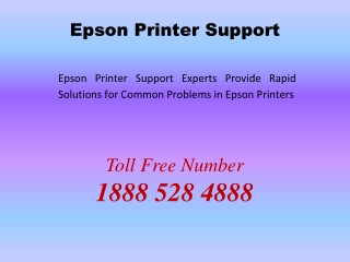 Epson Printer Support Experts Provide Rapid Solutions for Common Problems in Epson Printers