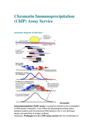 Chromatin Immunoprecipitation