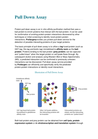 Pull Down Assay