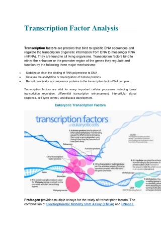 Transcription Factor Analysis