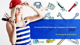 Licensed Flood Clean up Company Los Angeles