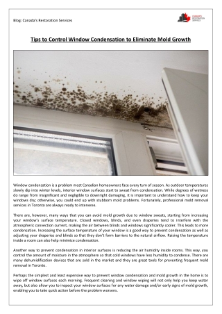 Tips to Control Window Condensation to Eliminate Mold Growth