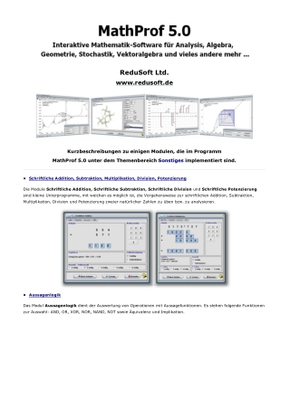 MathProf 5.0 - Themenbereich Sonstiges