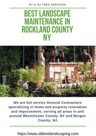 Best Landscape Maintenance in Rockland County NY