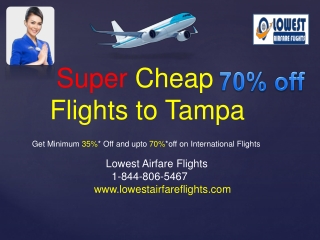 How can I get super cheap flights to Tampa?