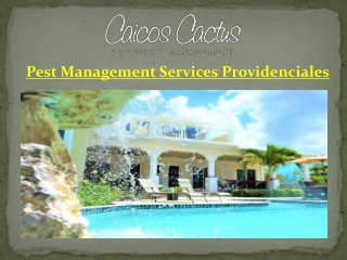 Pest Management Services Providenciales