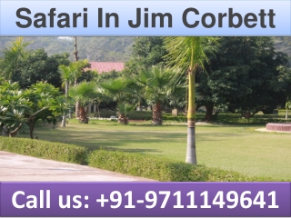 Safari In Jim Corbett